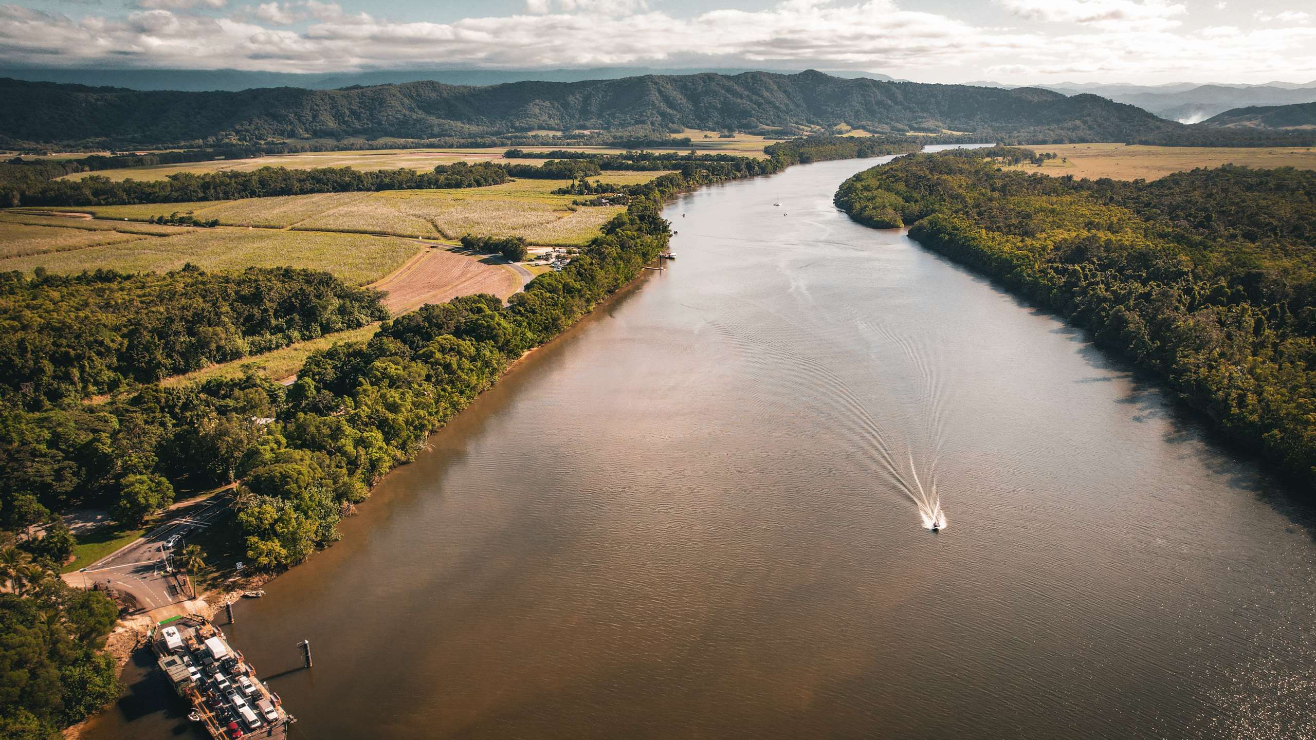 daintree river spotting crocodiles