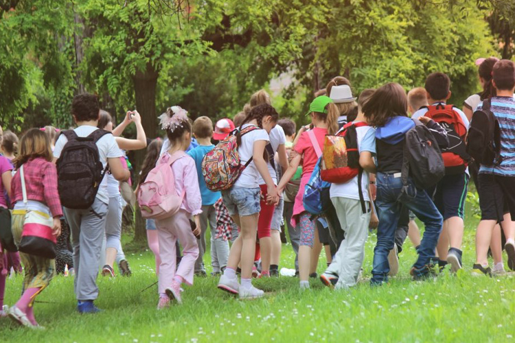 daintree river cruises