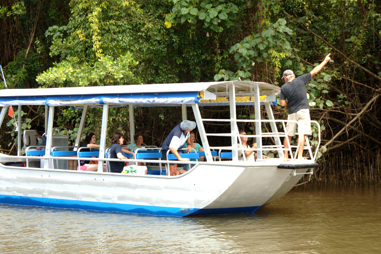 daintree river tours