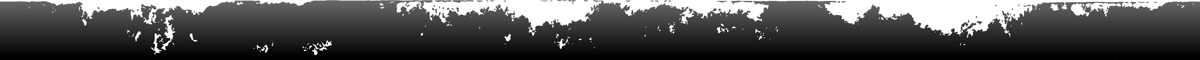 daintree river cruises