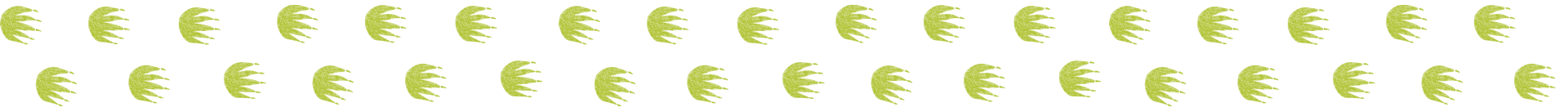 daintree river tours