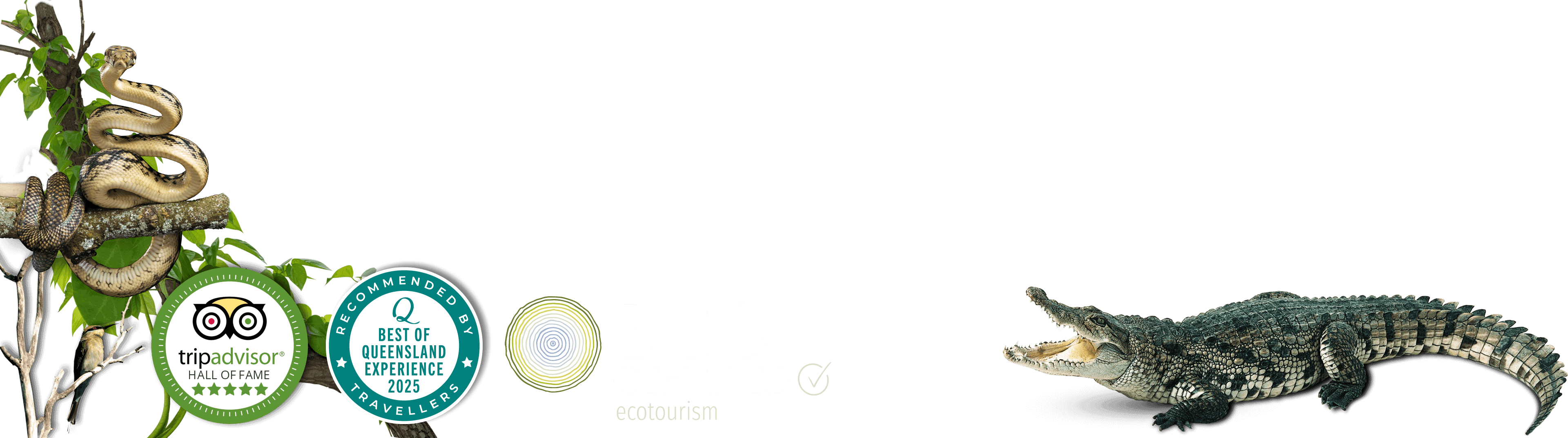 daintree river cruises